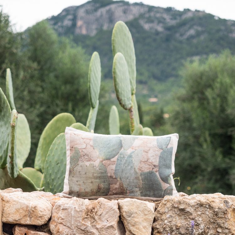 Funda de cojín de lino lavado Hnatureinside - Cactus