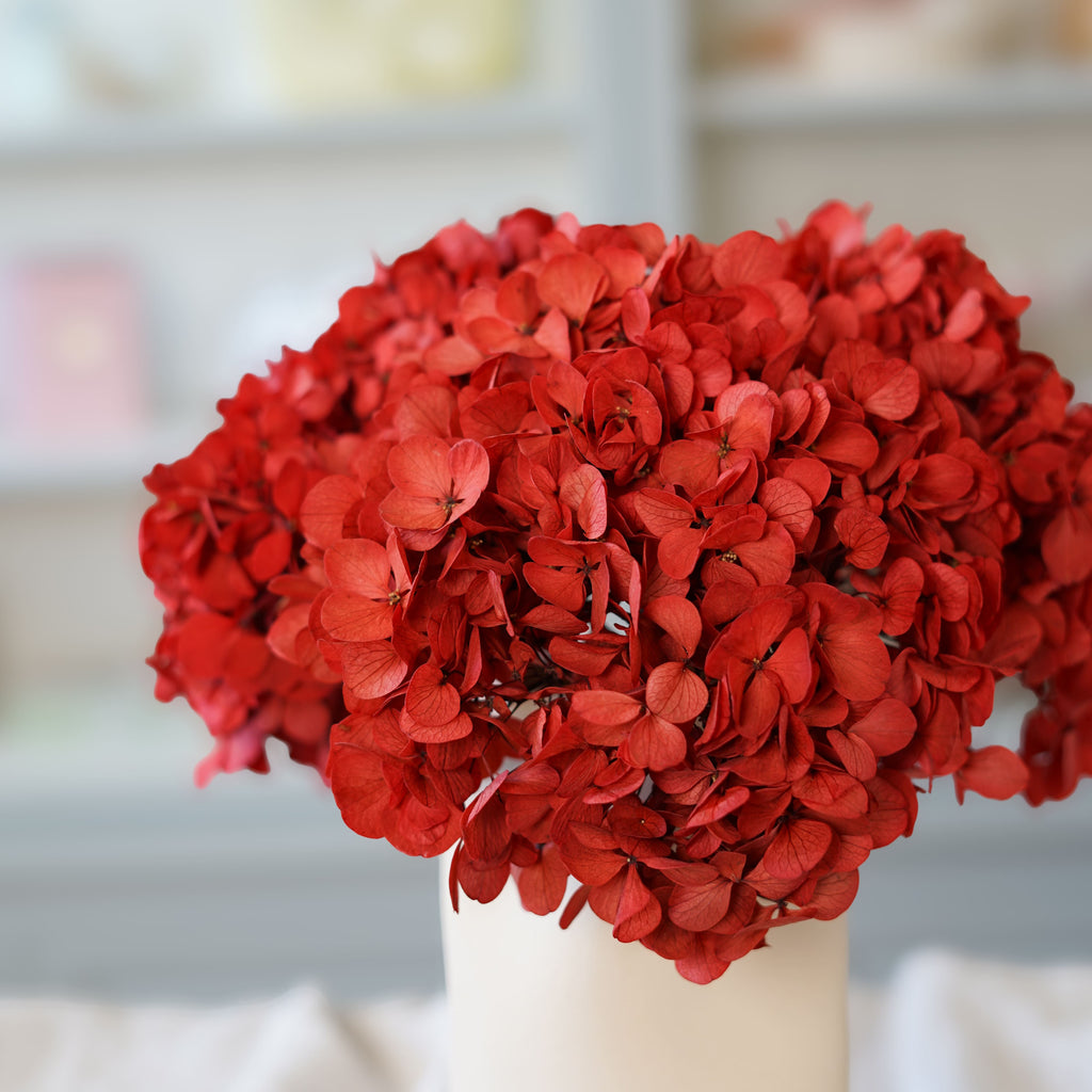 Hortensia Rouge