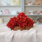 Hortensia Rouge
