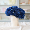 Hortensia Bleu