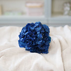 Hortensia Bleu