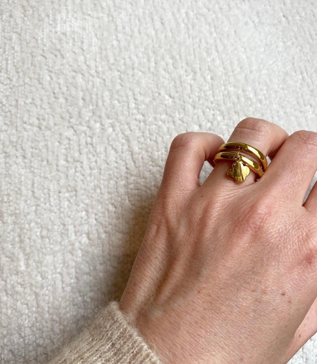 Anillo Aloys