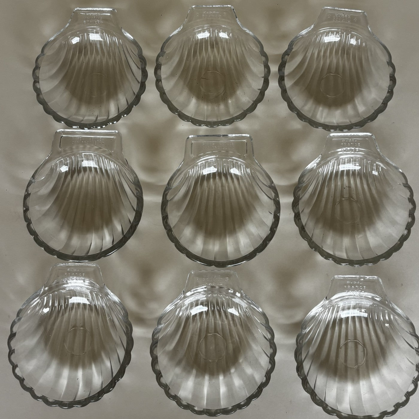 9 Shell Dishes