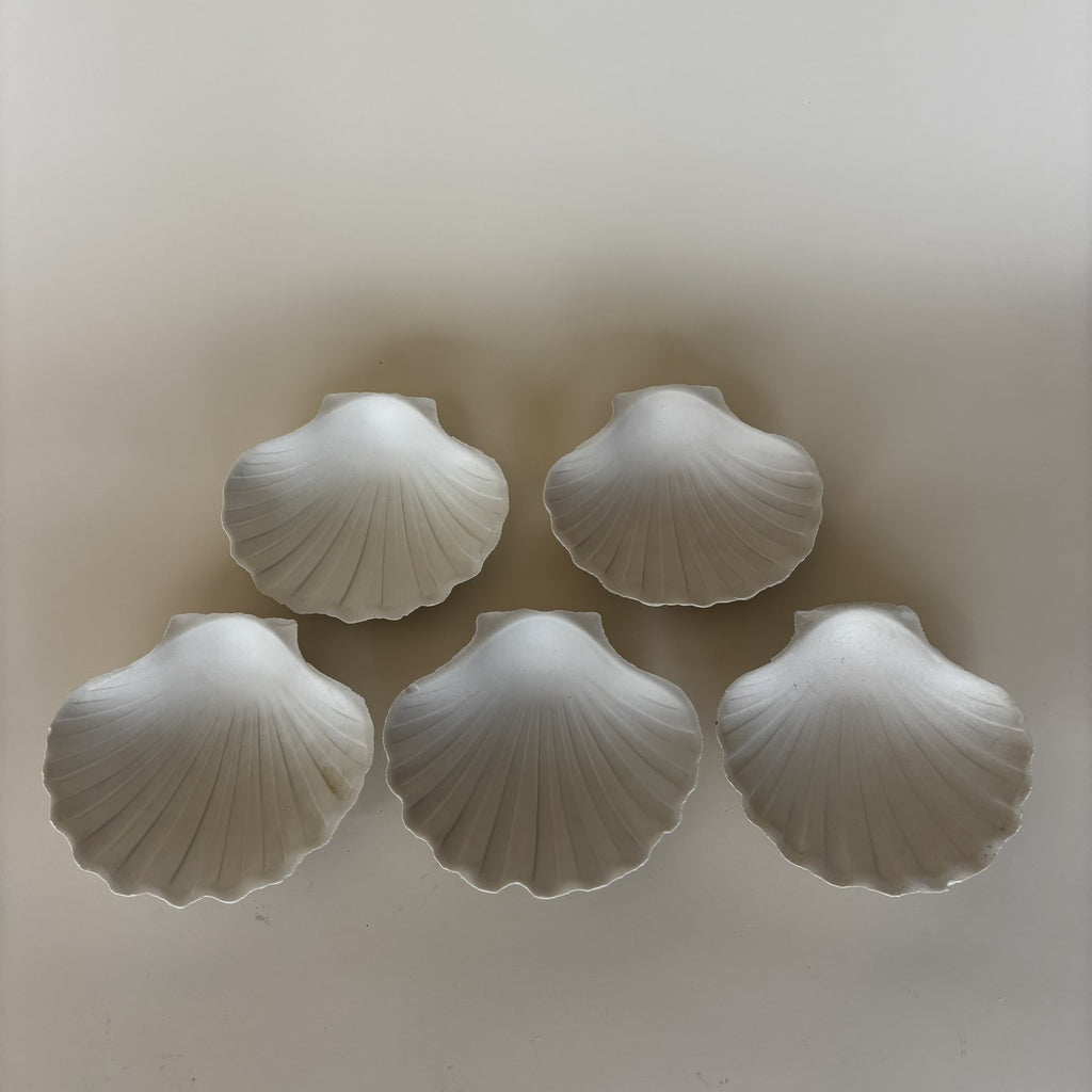 Shell Bowls