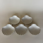 Shell Bowls