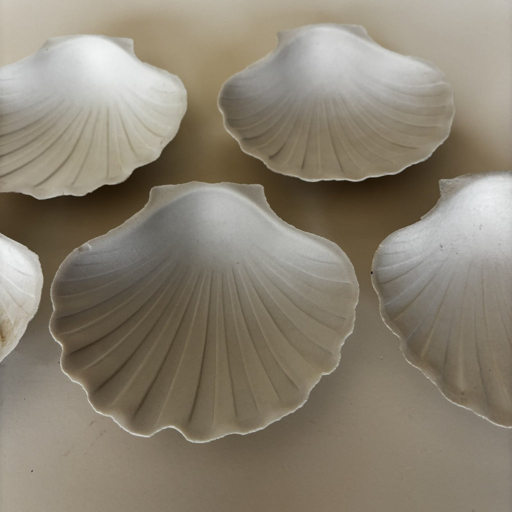 Shell Bowls