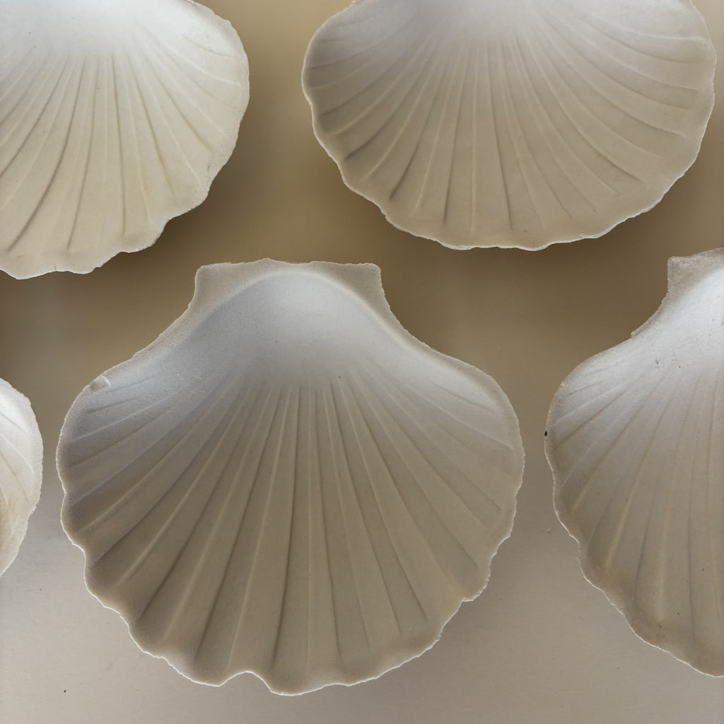 Shell Bowls