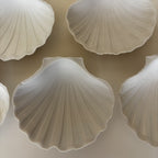 Shell Bowls