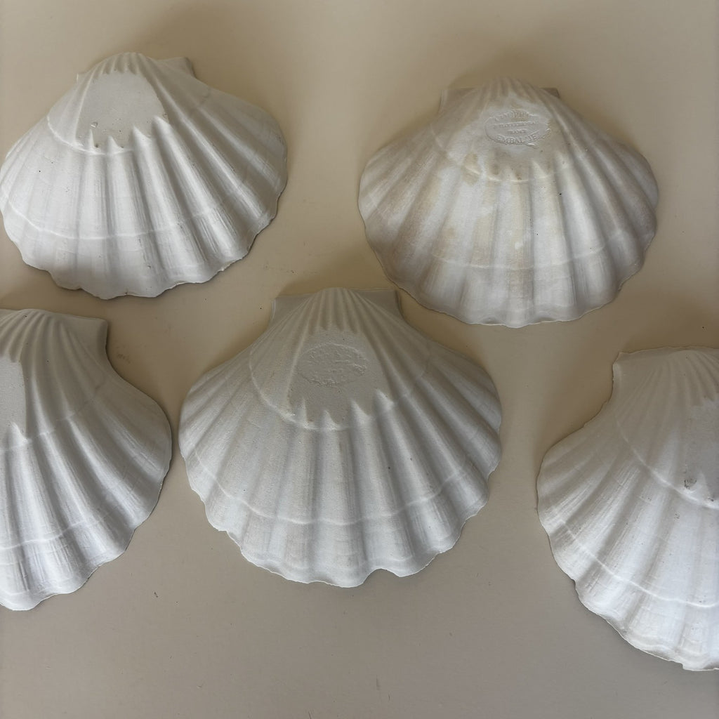 Shell Bowls