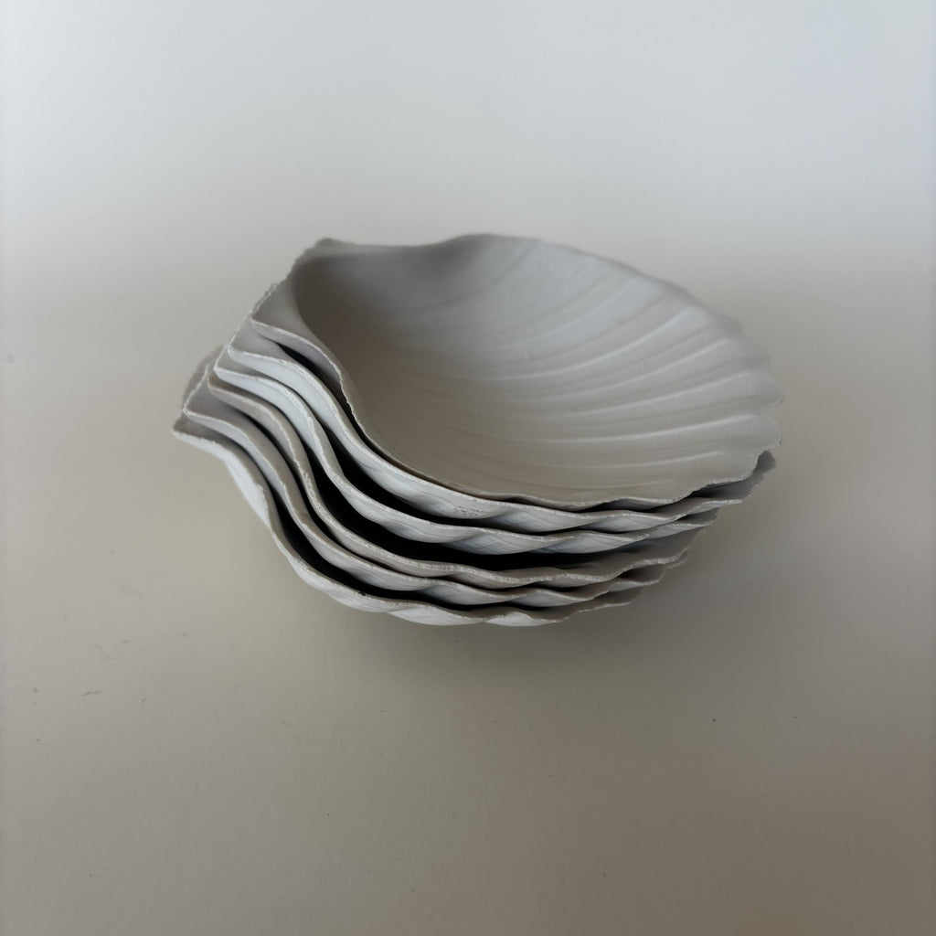 Shell Bowls