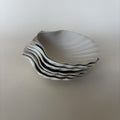 Shell Bowls