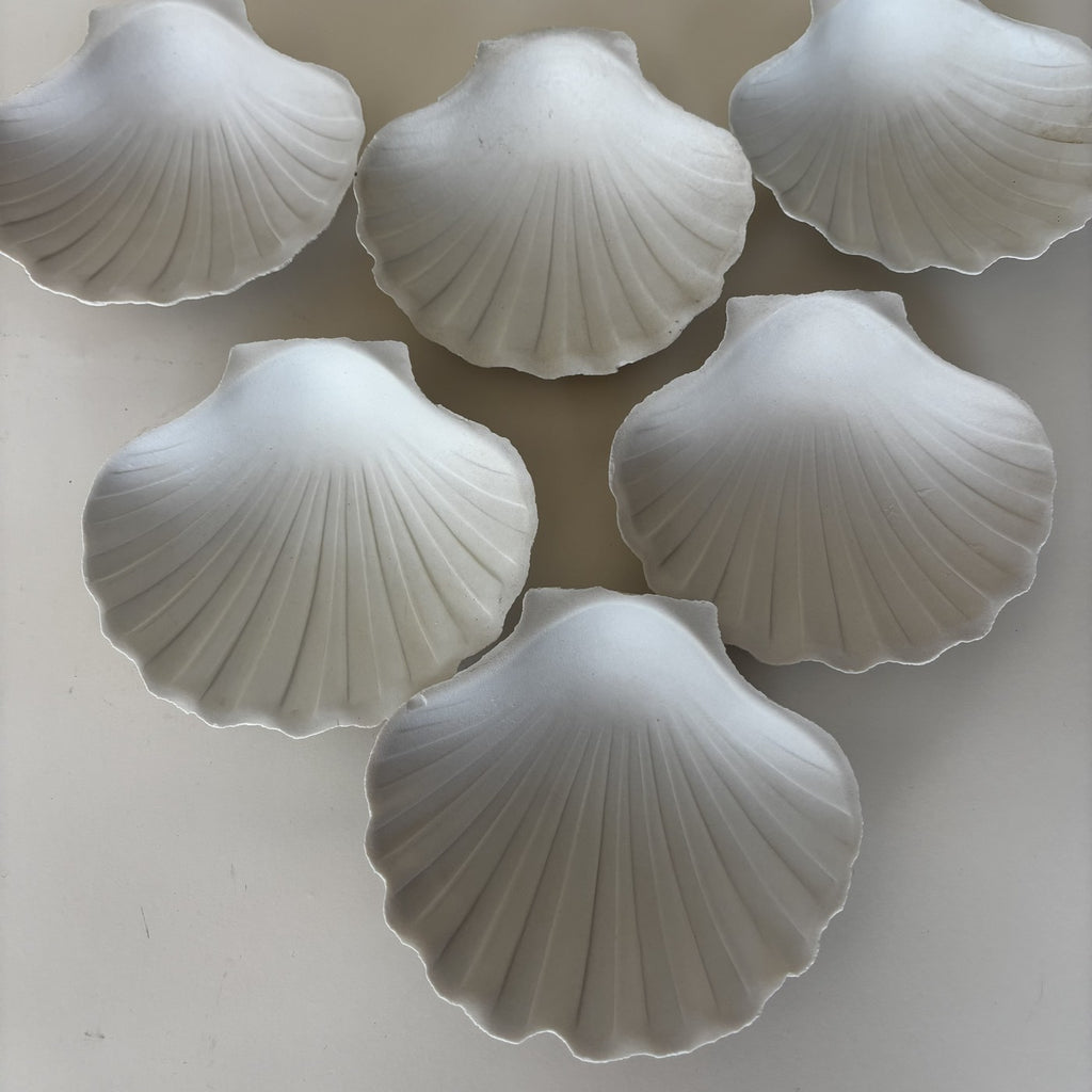 Shell Bowls