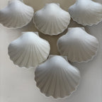 Shell Bowls