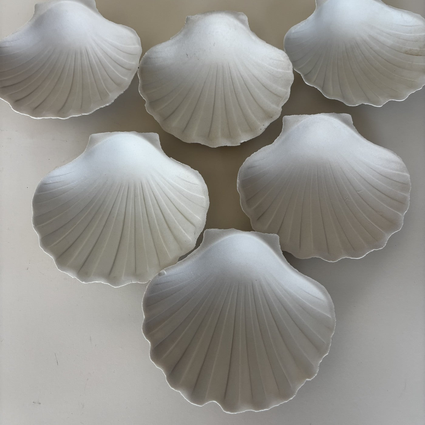 Shell Bowls