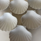 Shell Bowls