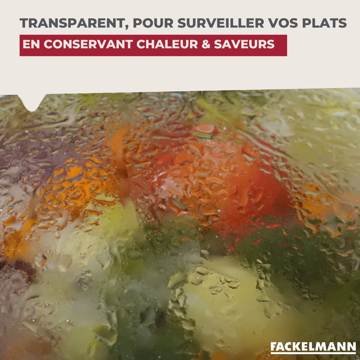 Couvercle De Cuisson Adaptable En Verre Et Silicone Fackelmann - Transparent/Noir