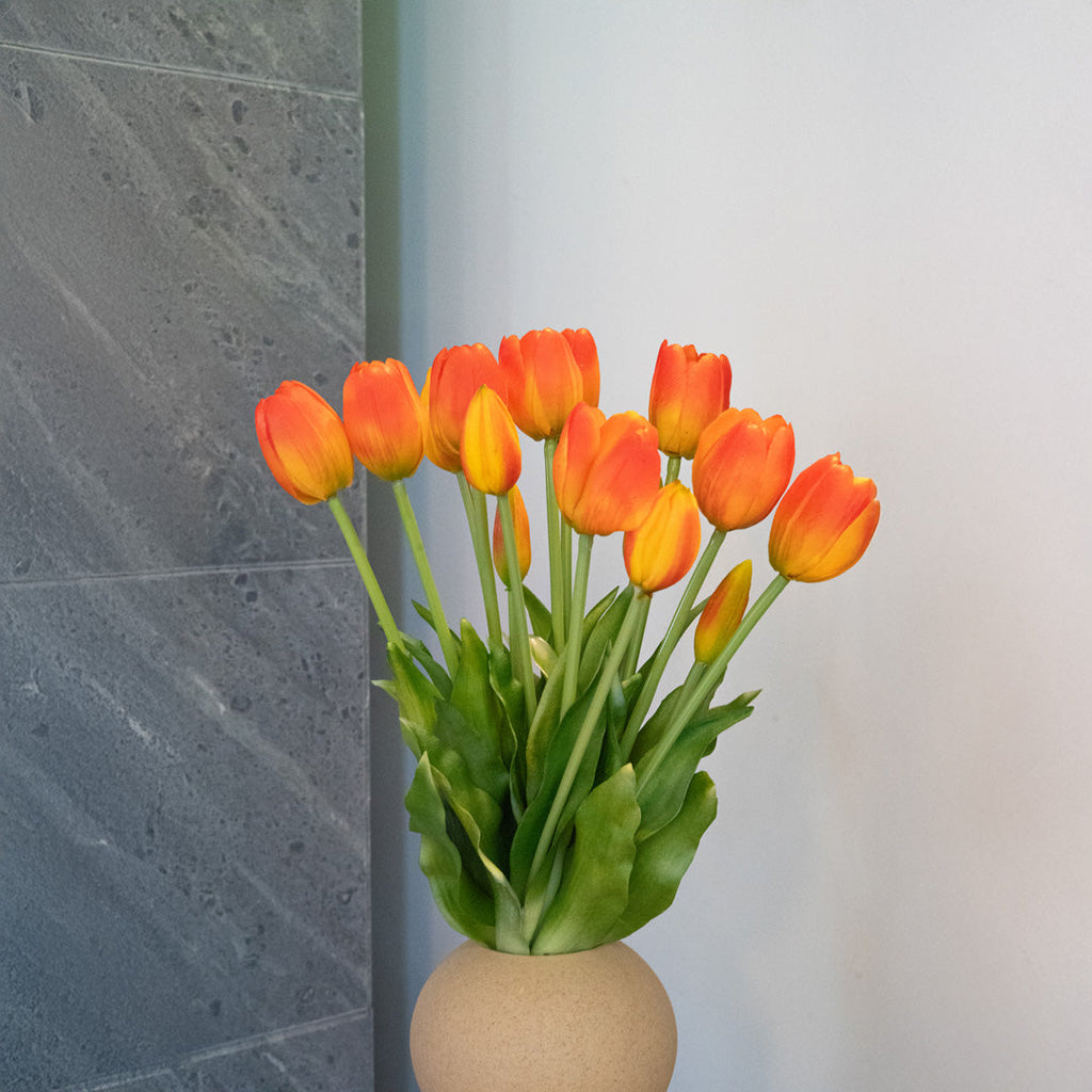 Botte De 5 Tulipes Orange