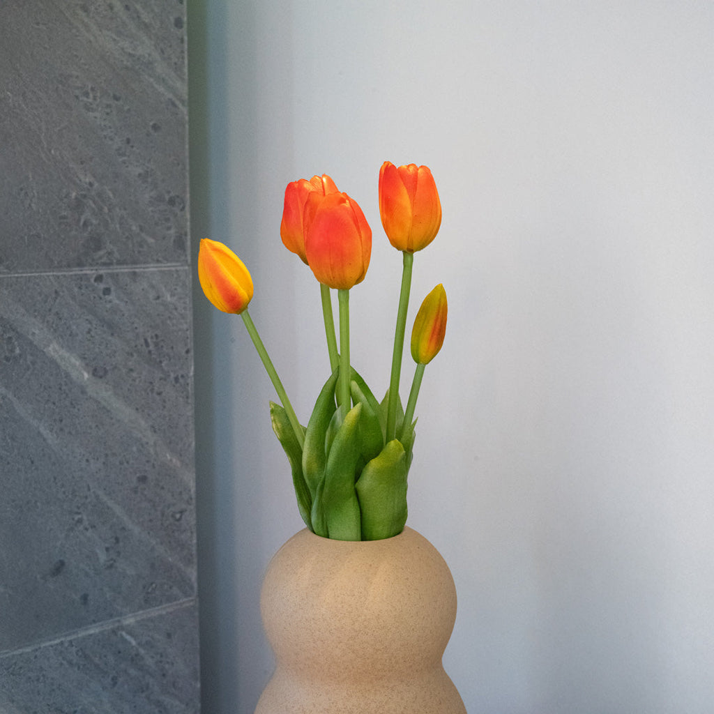 Botte De 5 Tulipes Orange