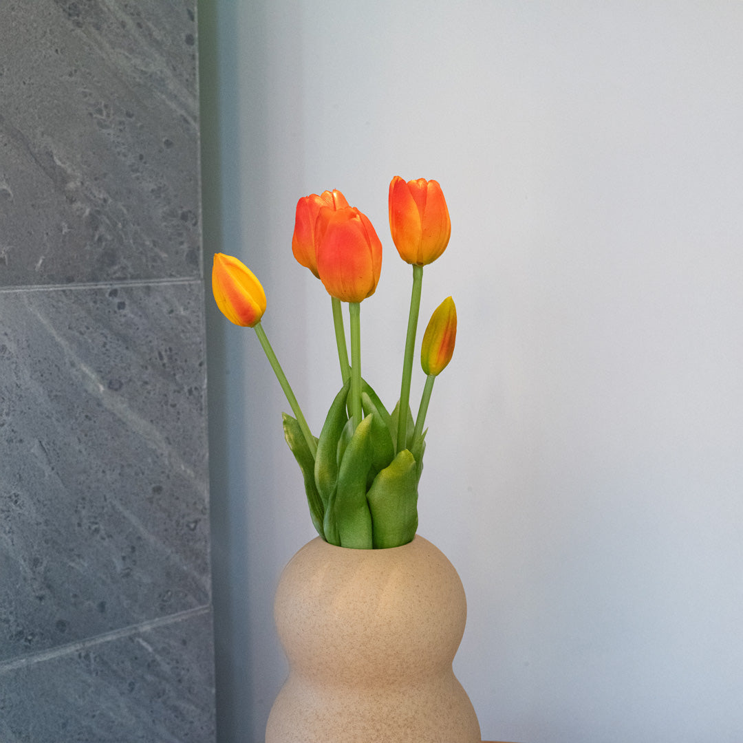 Botte De 5 Tulipes Orange