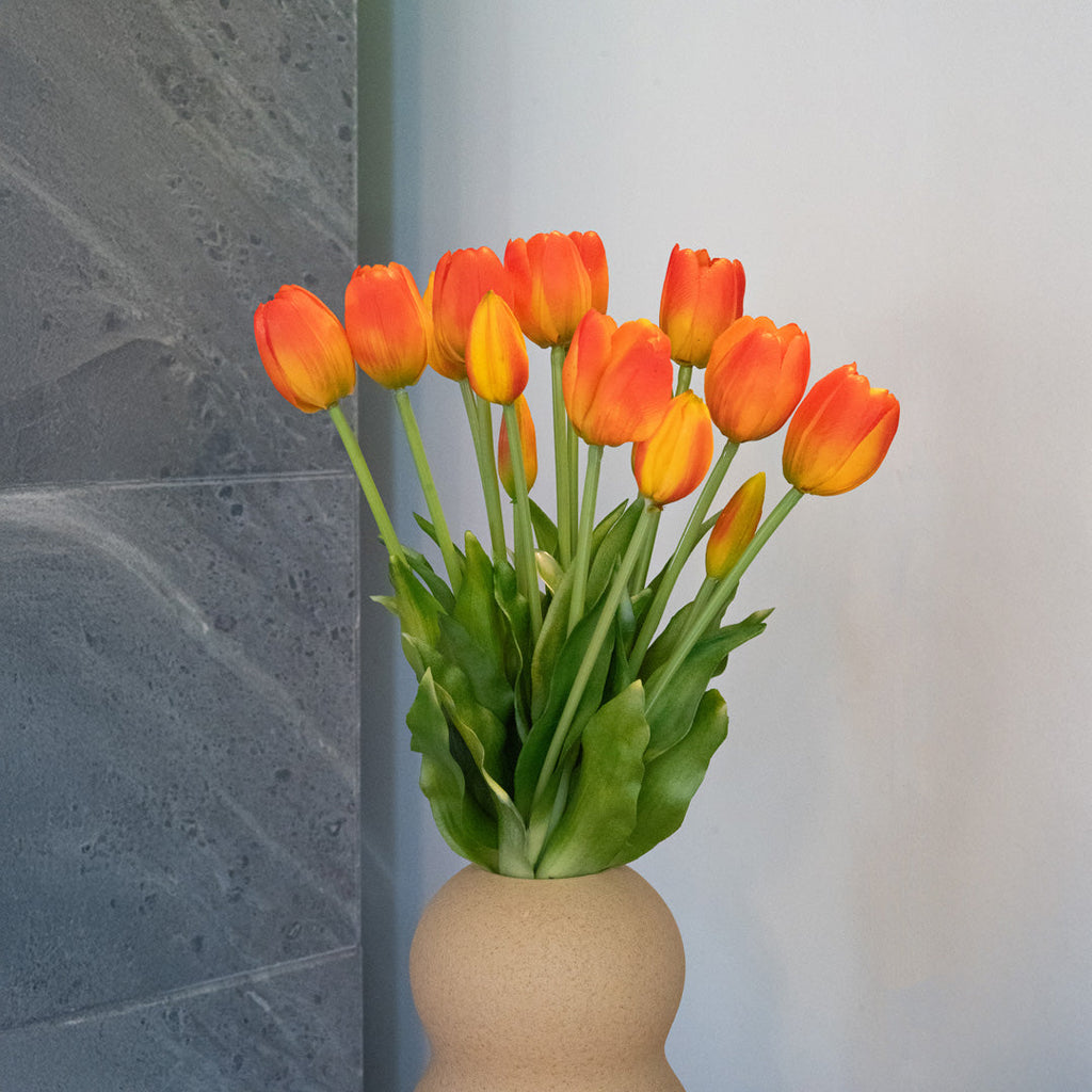 Botte De 5 Tulipes Orange
