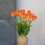 Botte De 5 Tulipes Orange