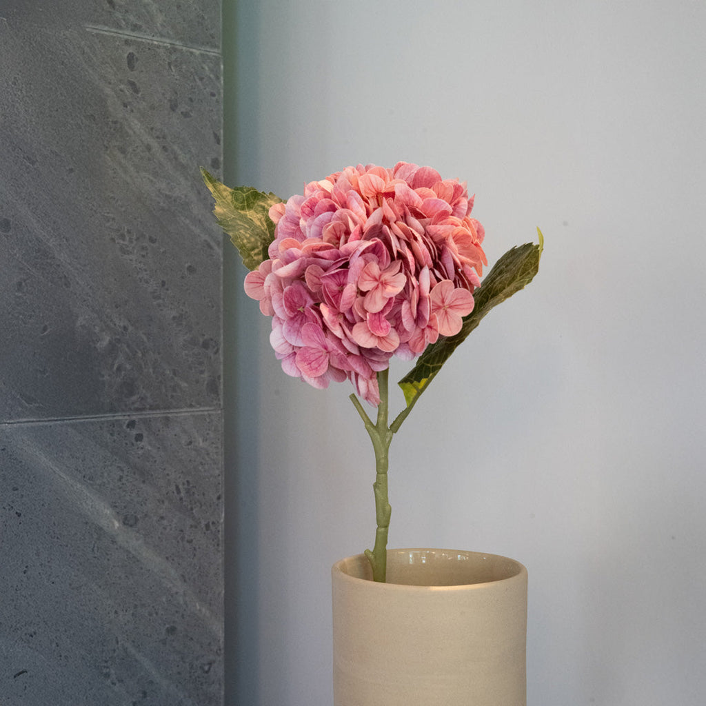 Hortensia Rose Foncé