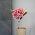 Hortensia Rose Foncé