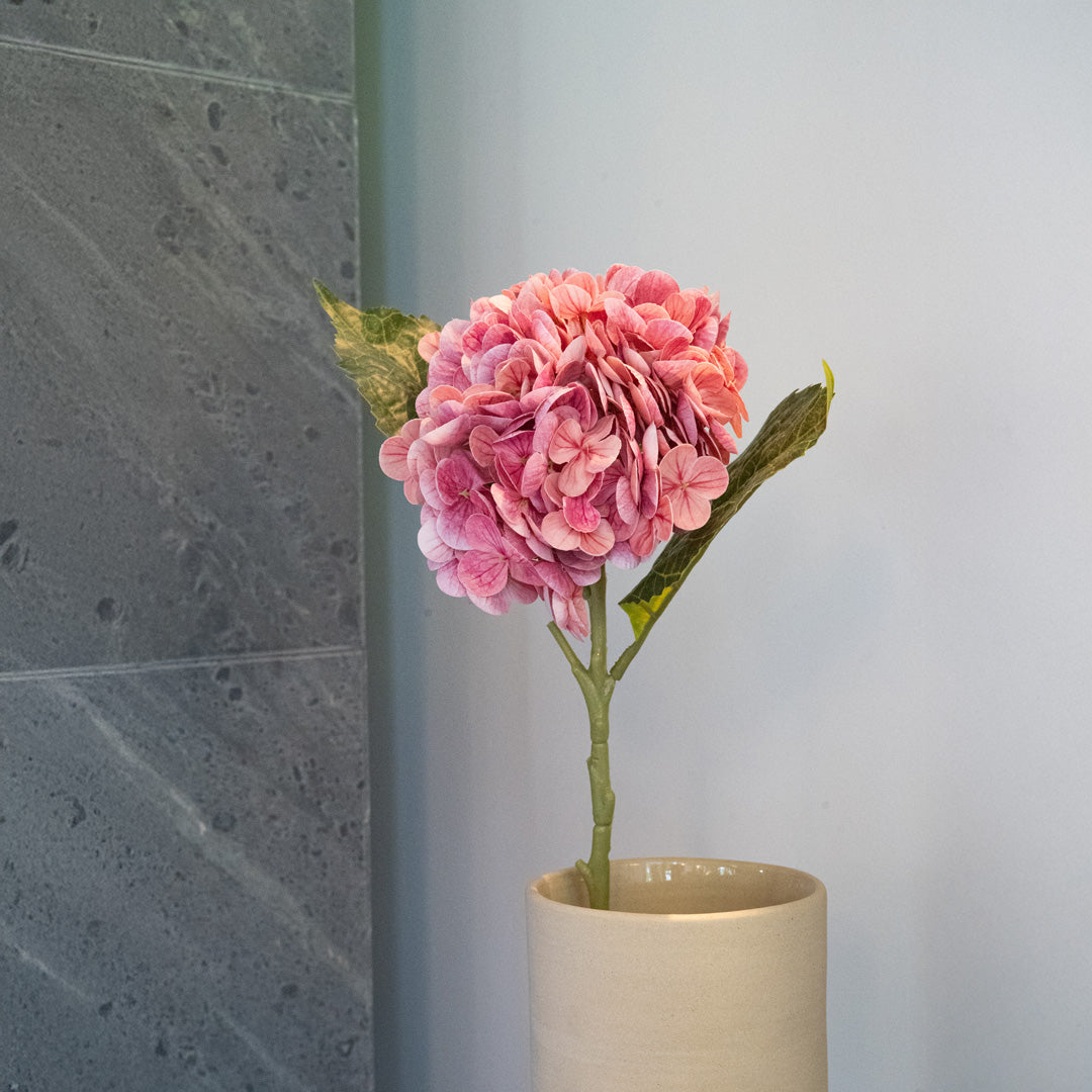 Hortensia Rose Foncé