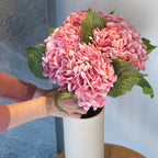 Hortensia Rose Foncé