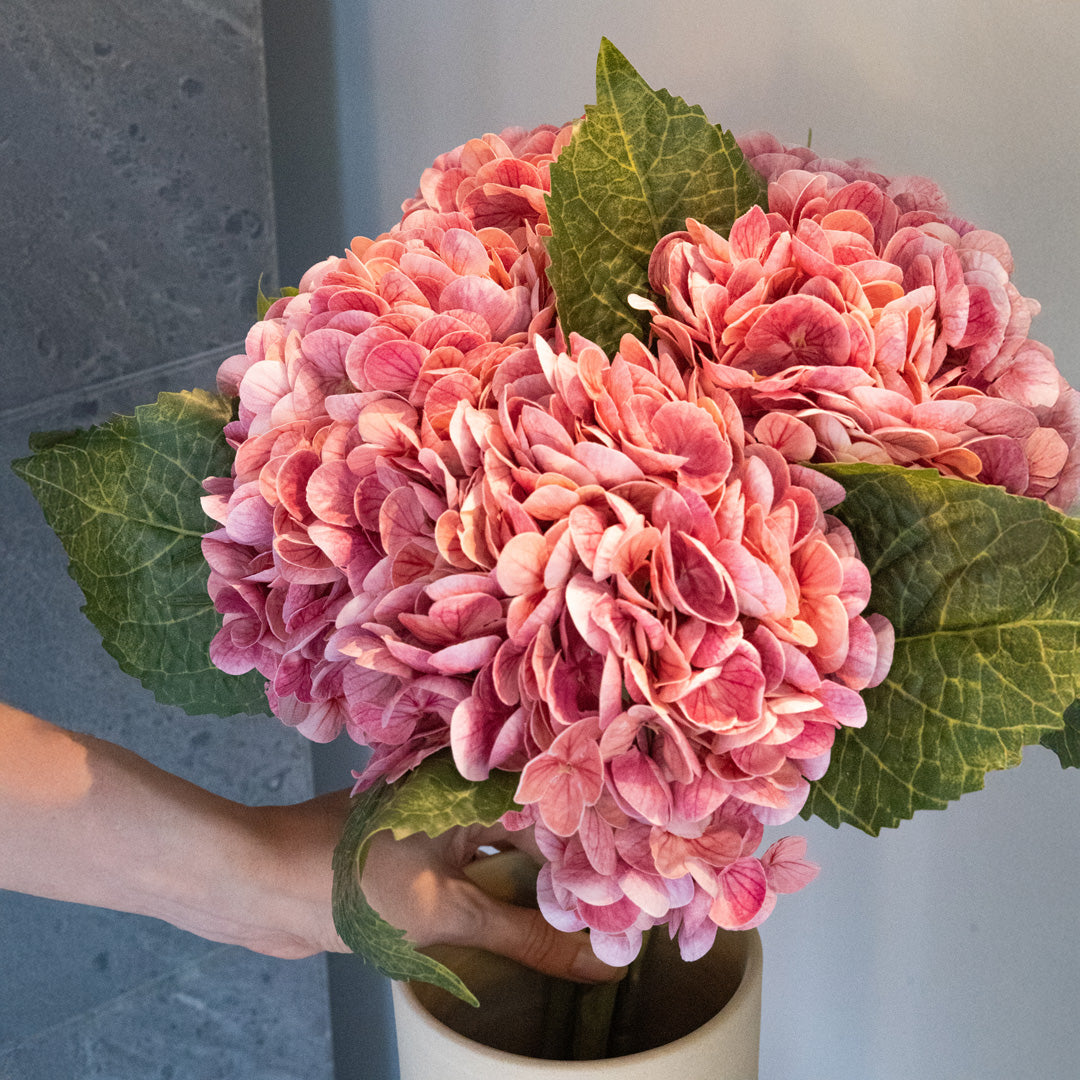 Hortensia Rose Foncé