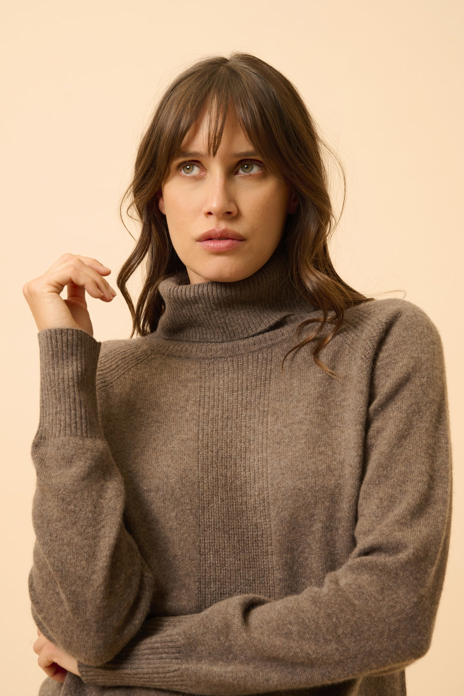 Pull Col Roulé - Lilly - Taupe Chiné