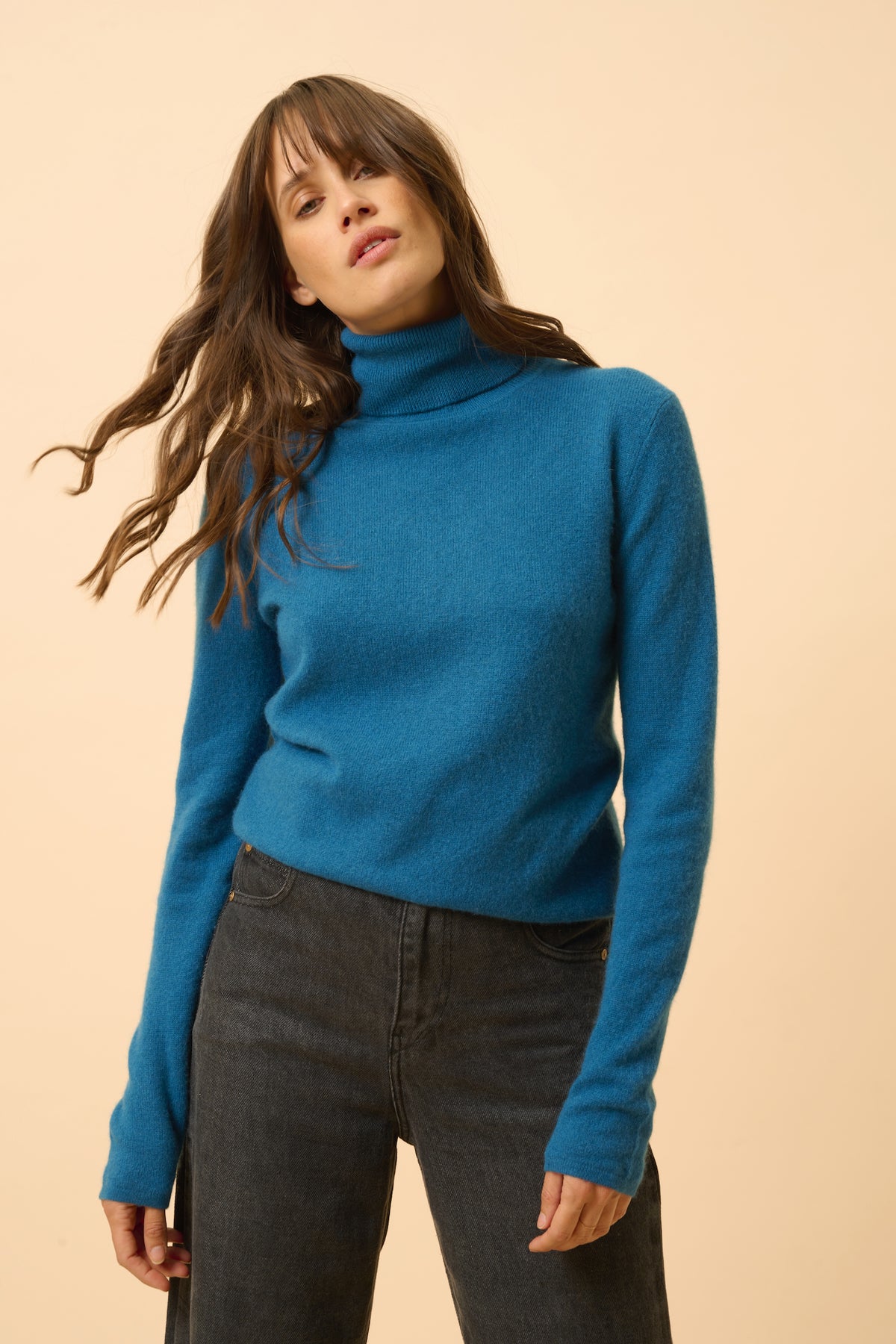 Pull Col Roulé - Ava - Paon