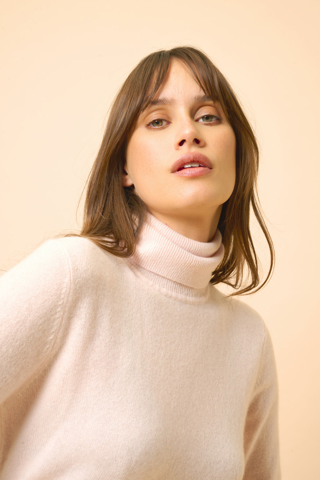 Pull Col Roulé - Ava - Poudre