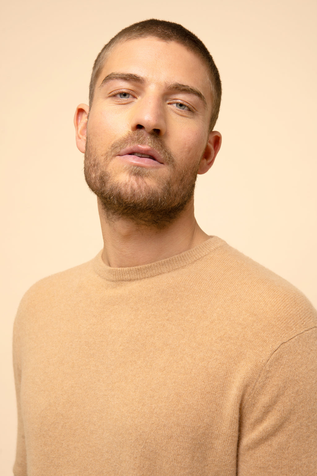 Just Cashmere - Pull Col Rond - Howard - Sahara