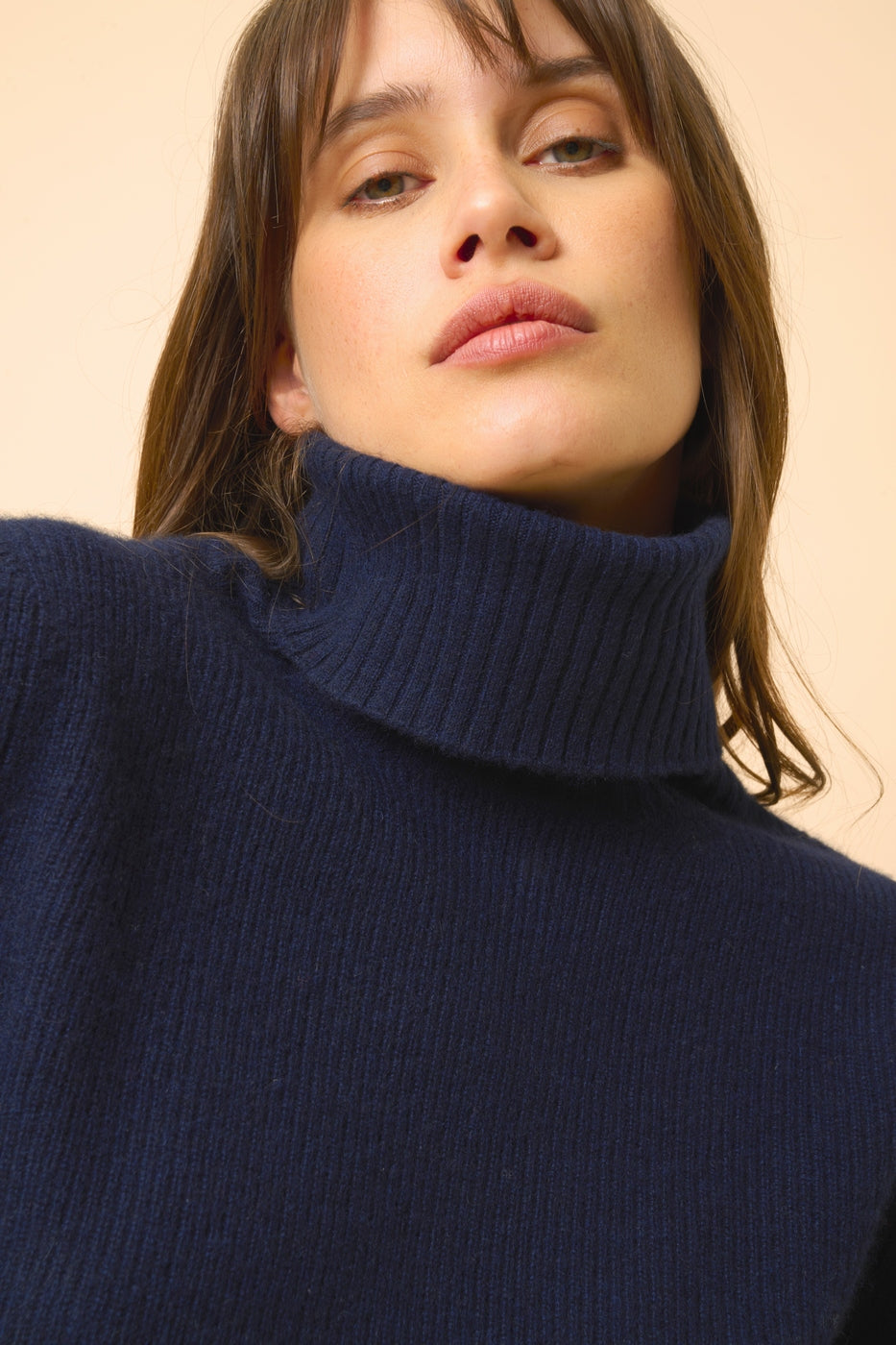 Pull Col Roulé - Billy - Navy