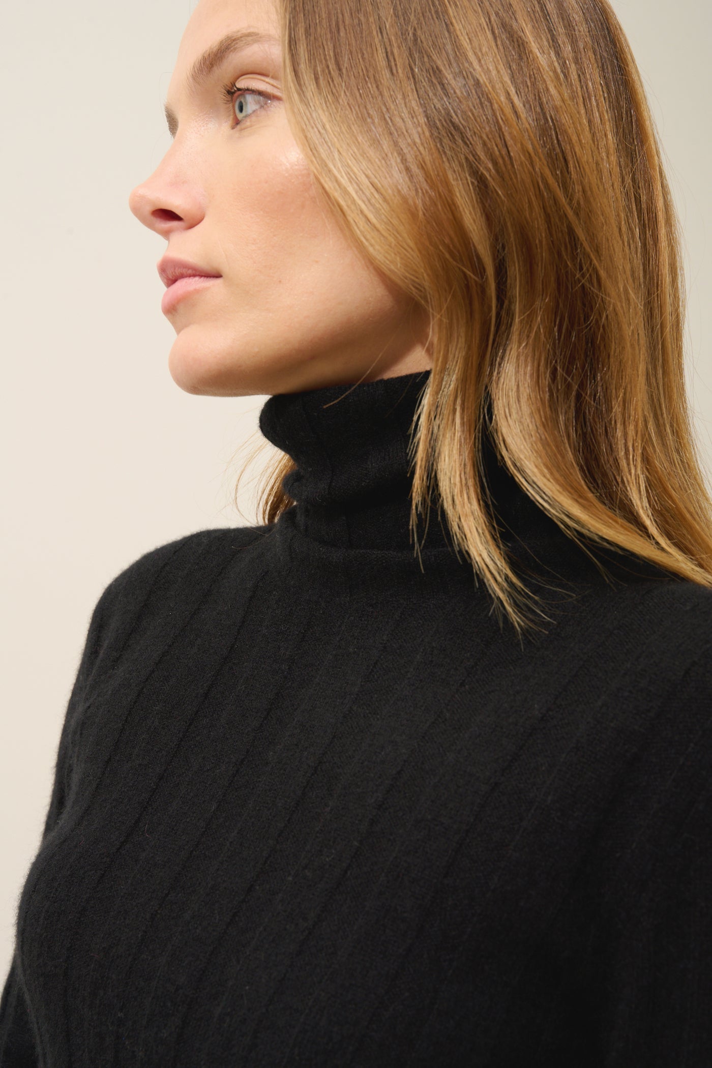 Serelith Roll-Neck Jumper - 100% 2-Ply Cashmere - Black - Women