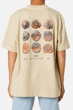 Camiseta Boys Specimen Box Fit