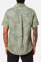 Chemise Matcha