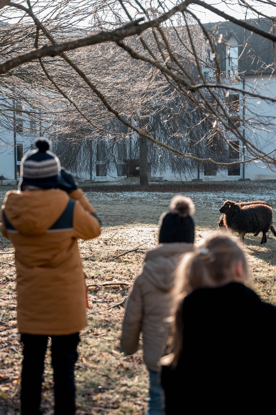 Parc du Coudray