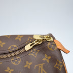 Louis Vuitton Keepall 50 Monogram