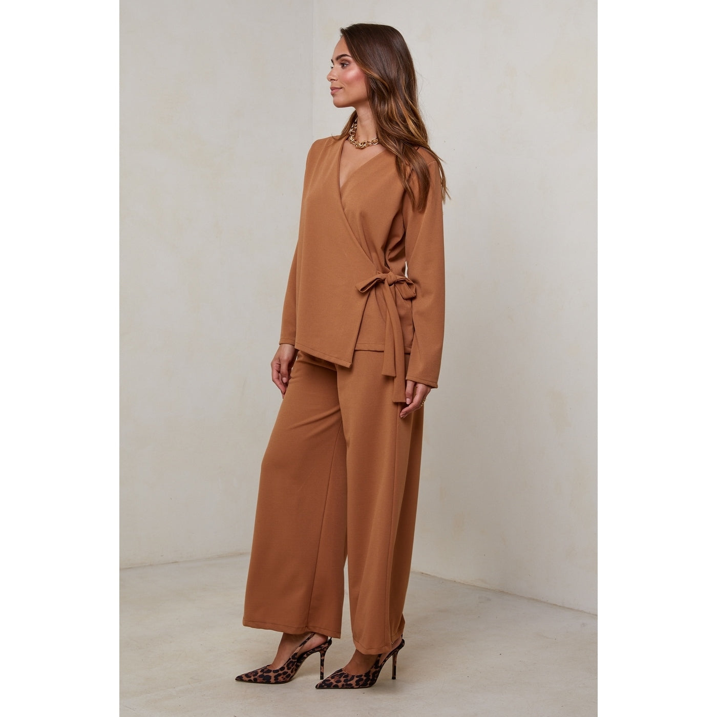 Ensemble - Camel