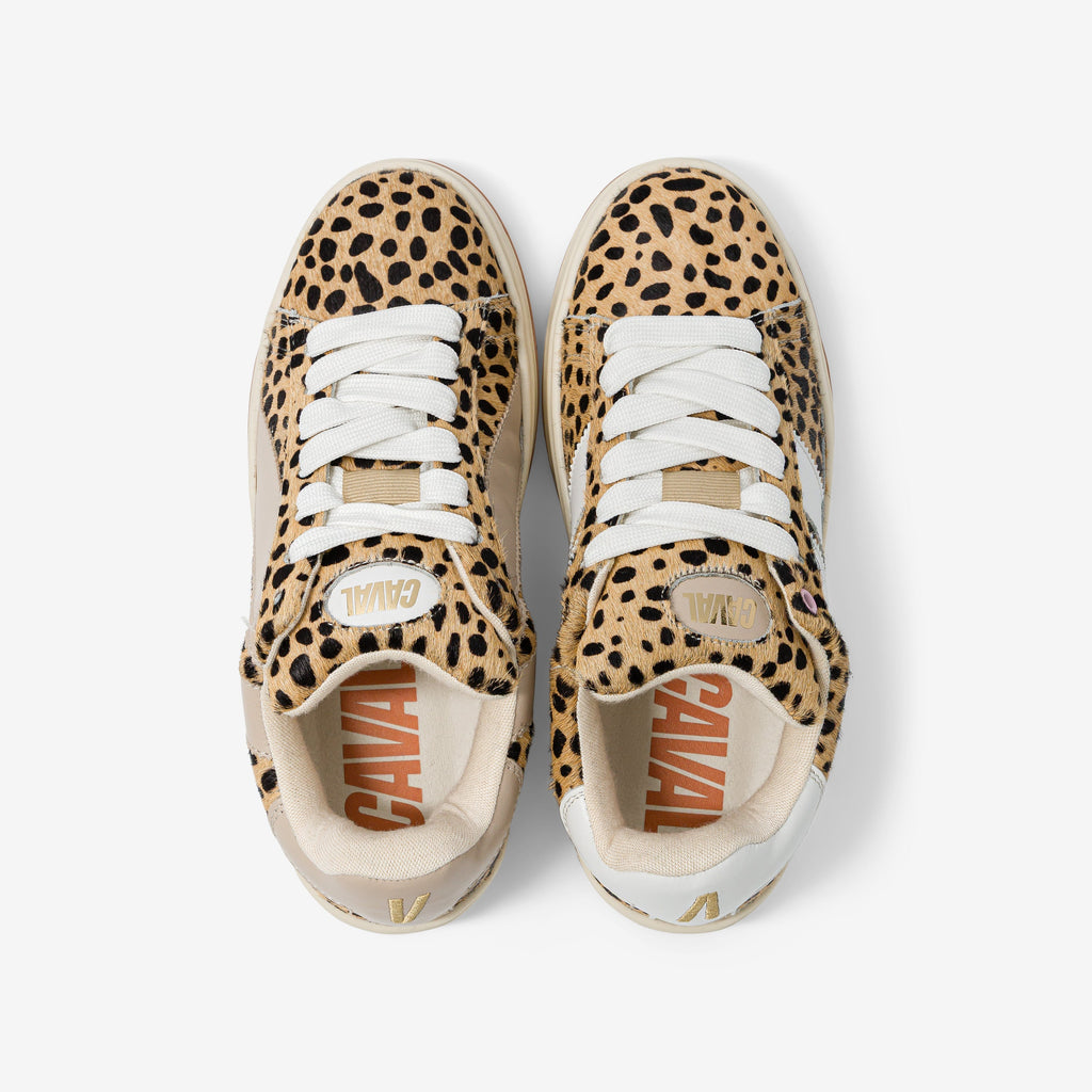 Baskets Leo Beast