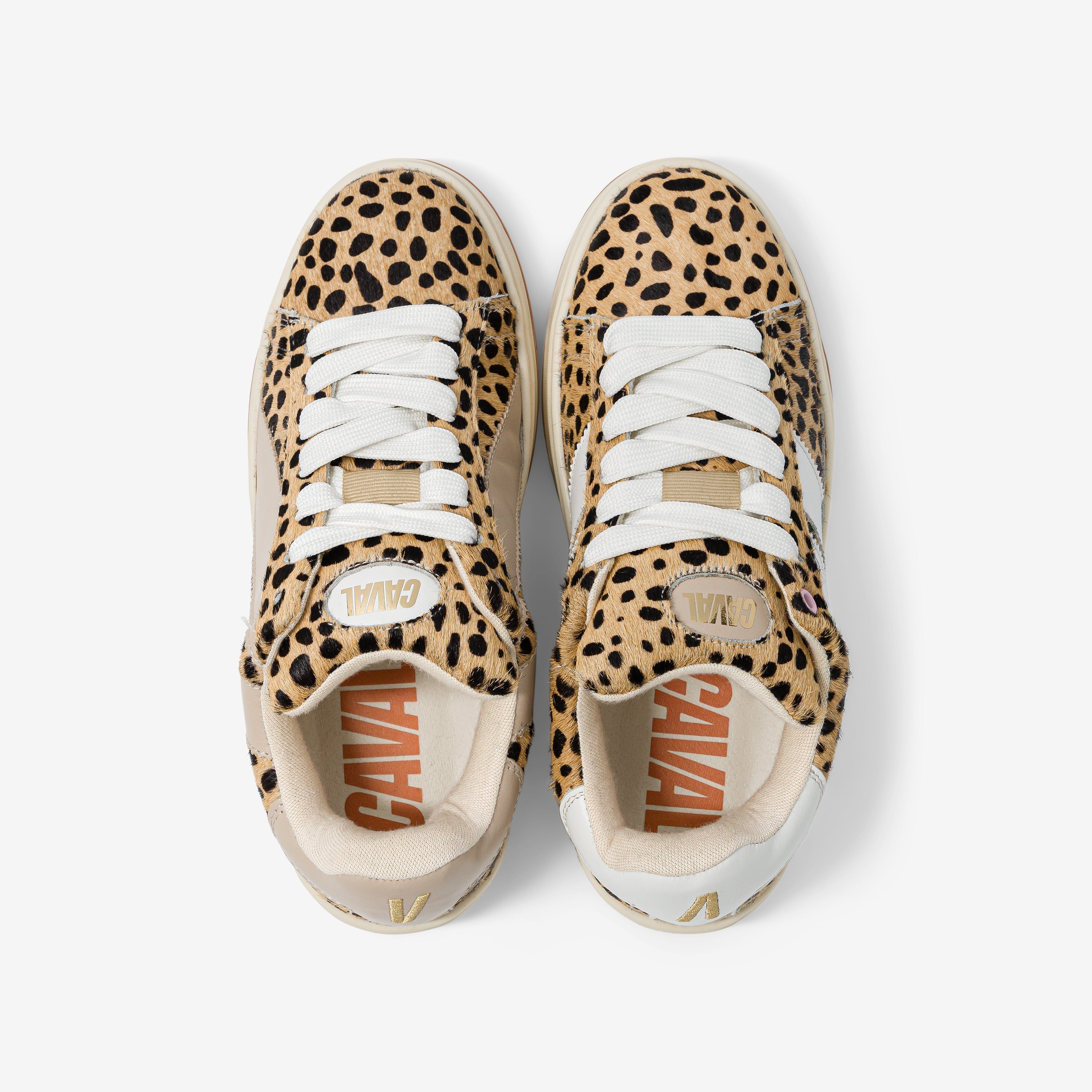 Baskets Leo Beast