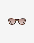 Erin Brown sunglasses — rectangular acetate frame, front view
