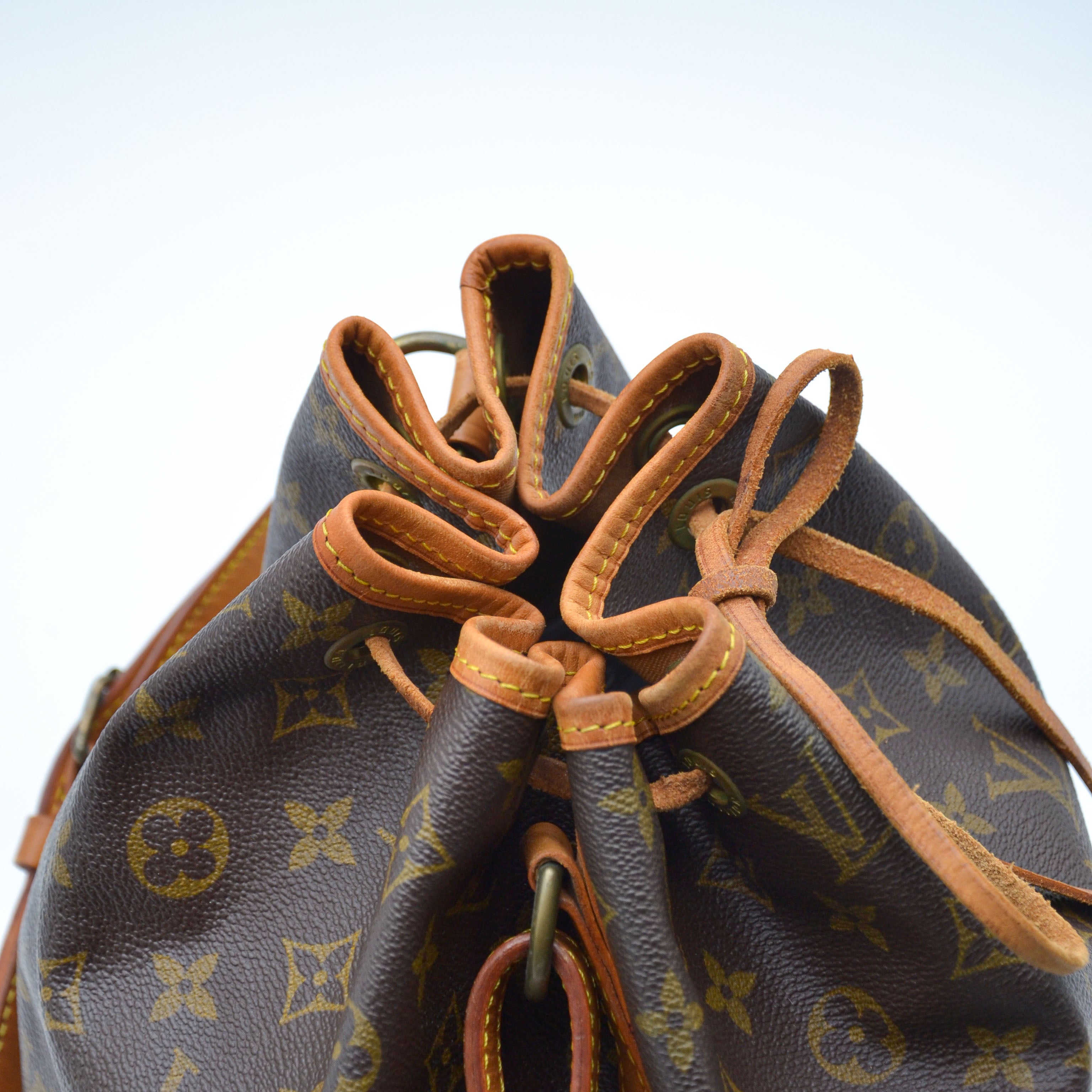 Louis Vuitton Noé Mm Monogram