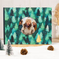 Window Photo Book