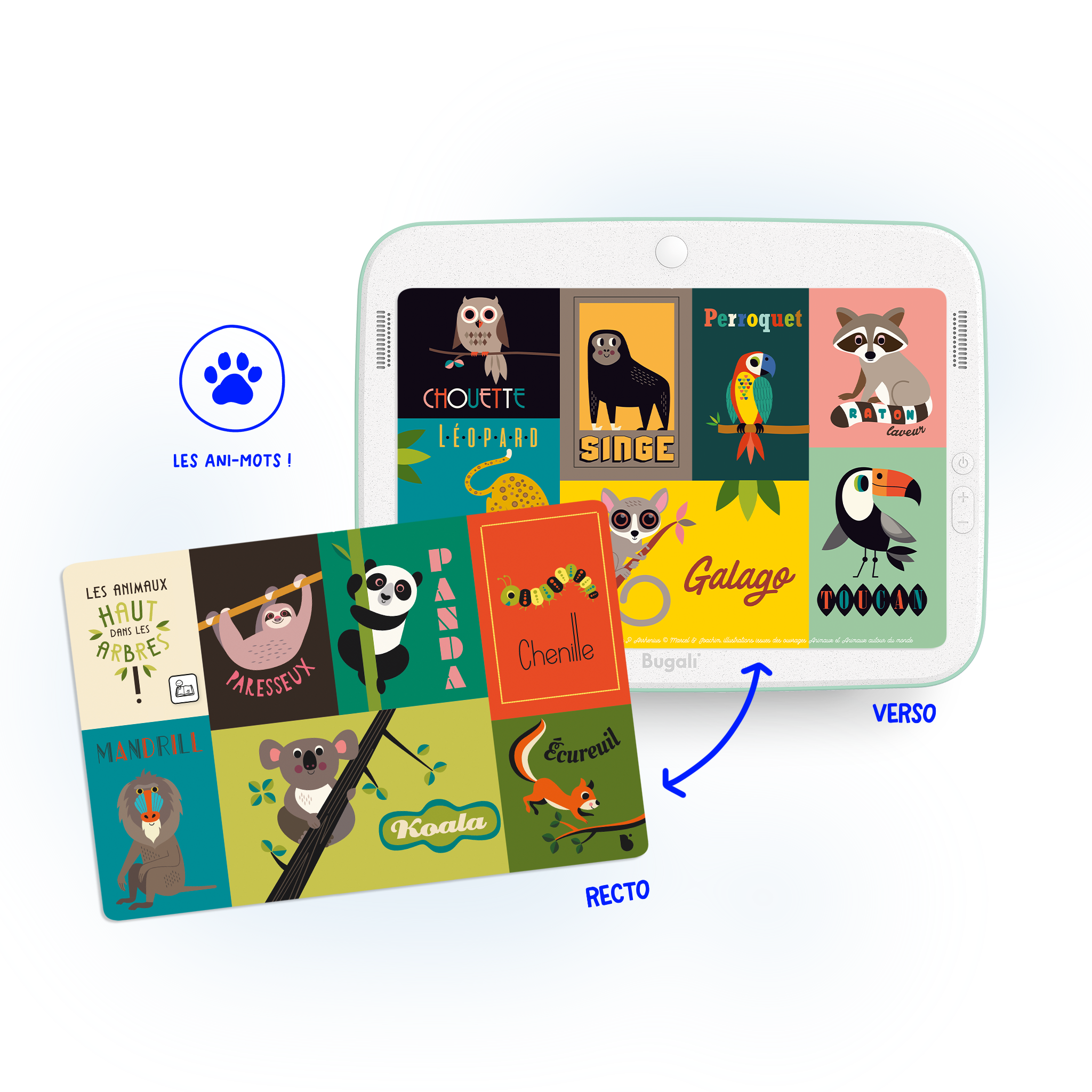 Coffret 5 Cartes Interactives Kézaco ? (3+)