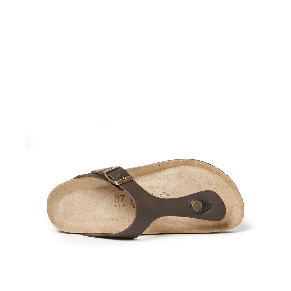 Chanclas Blanca - Marrón oscuro - Mujer
