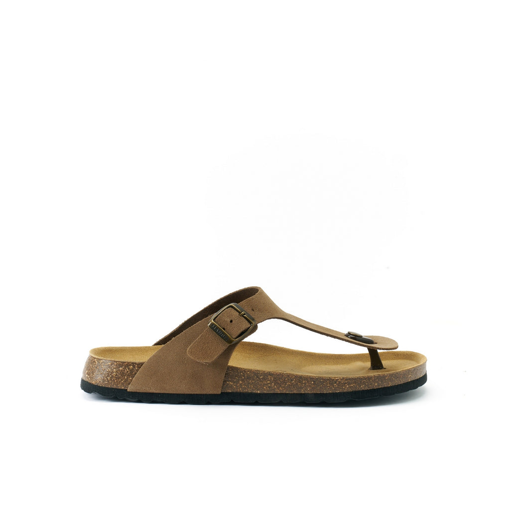 David Flip Flops - Brown - Men