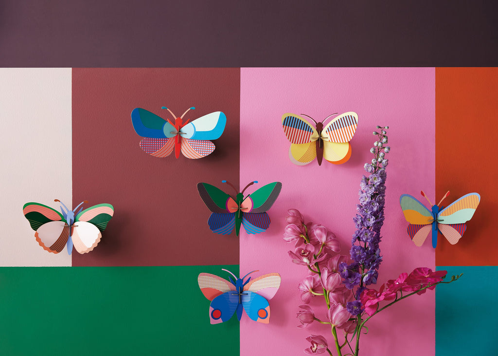 Lily Butterfly
